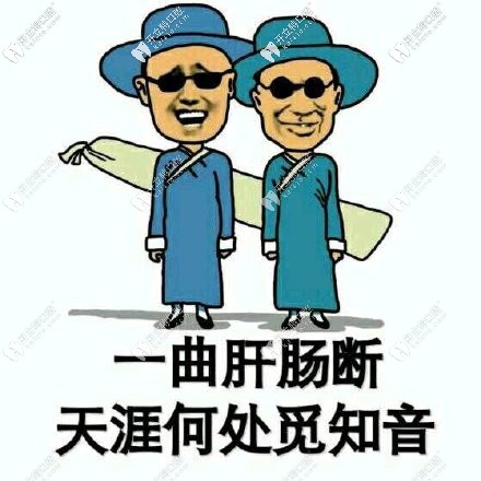 傲嬌的品牌，呆萌的價格